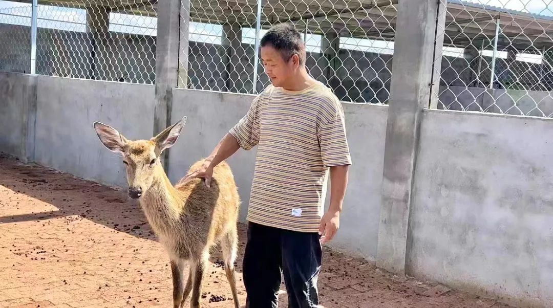 mg怎么下载